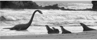 plesiosaurus_sea lions