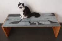 plesiosaur table w/ cat